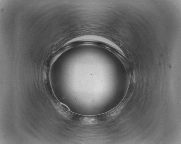 X0000085210570200703161222