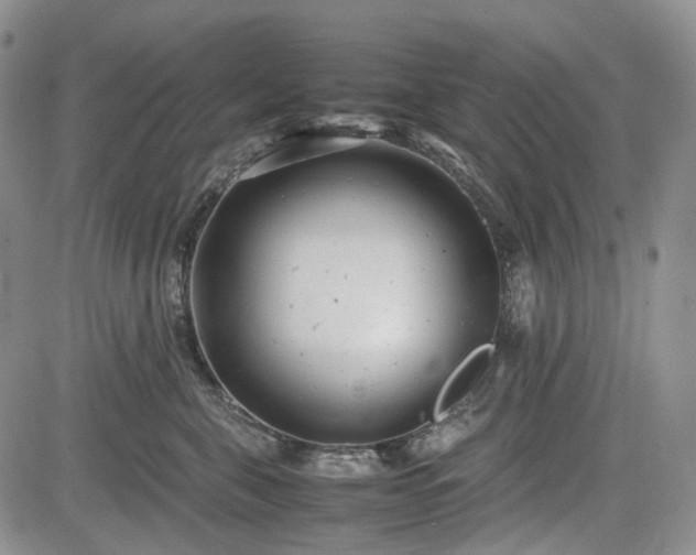 X0000085210571200703161222