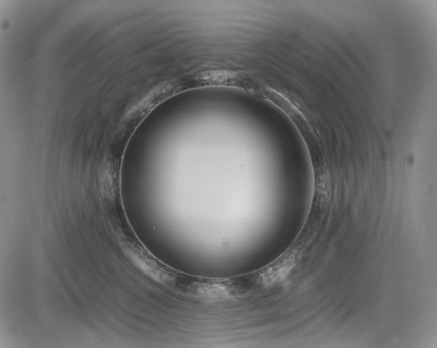 X0000085210572200703161222