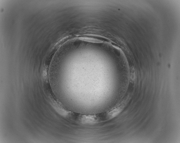 X0000085210573200703161222