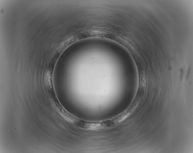 X0000085210575200703161222