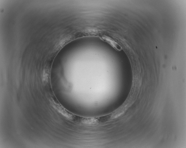 X0000085210576200703161222