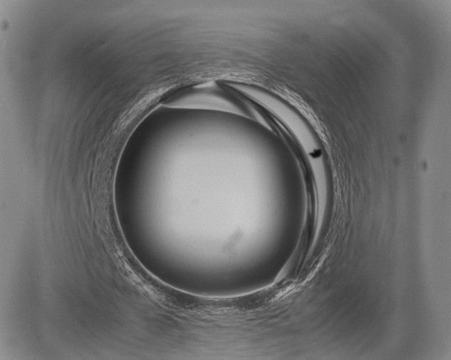 X0000085210577200703161221