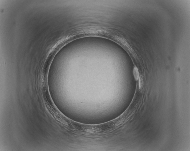 X0000085210579200703161221