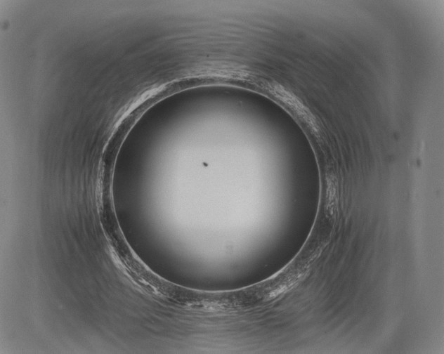 X0000085210580200703161221