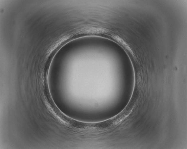 X0000085210581200703161221