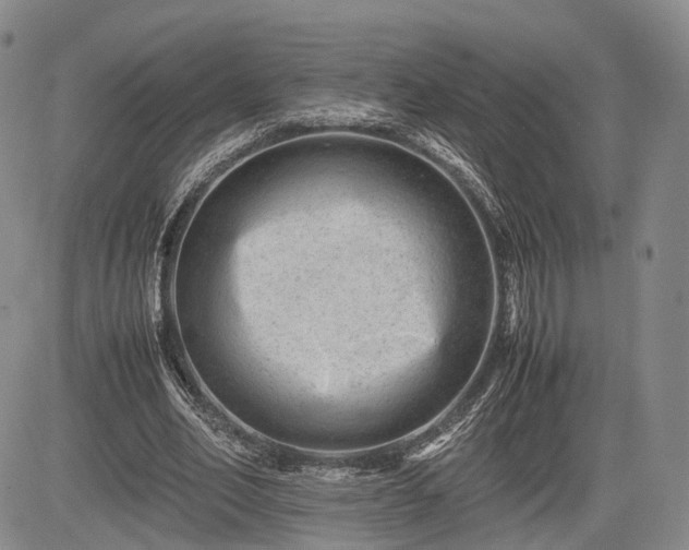 X0000085210582200703161221