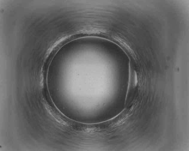 X0000085210584200703161221