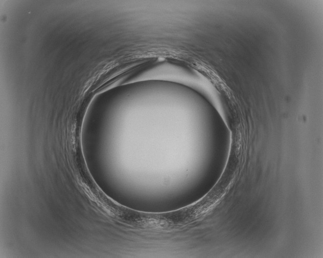 X0000085210585200703161221