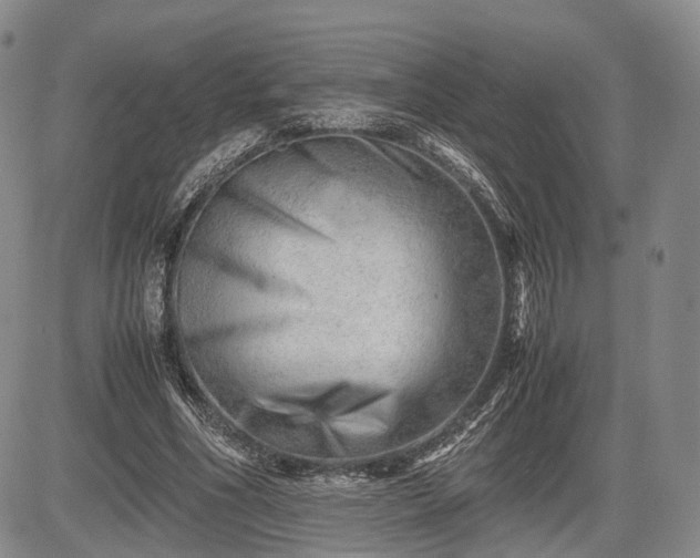 X0000085210586200703161221