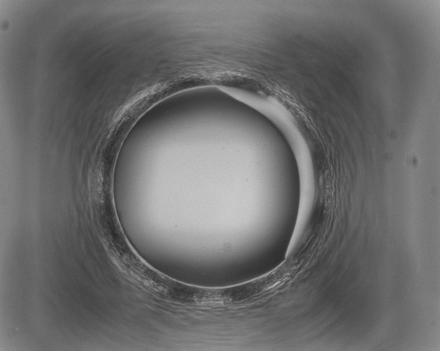 X0000085210587200703161221