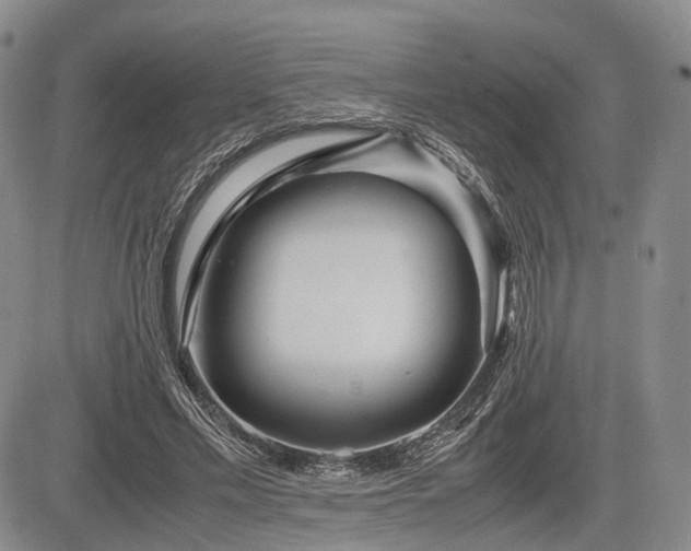 X0000085210589200703161221