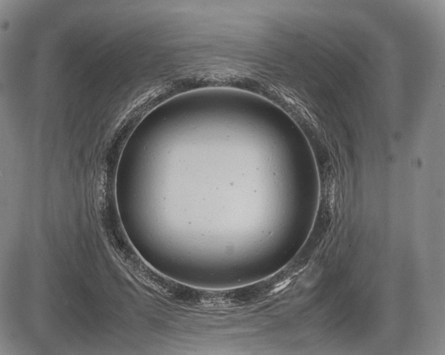 X0000085210591200703161221