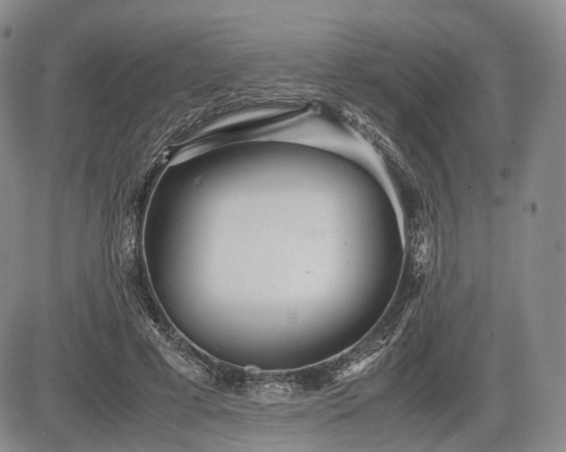 X0000085210593200703161221