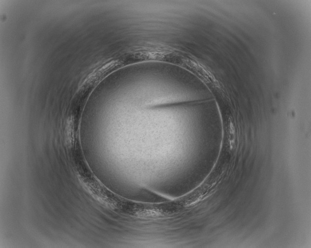 X0000085210594200703161221