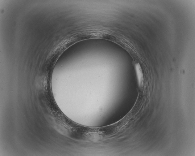 X0000085210595200703161221