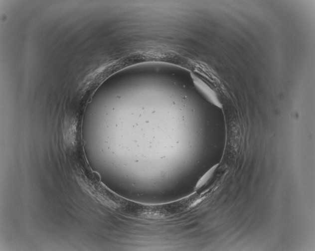 X0000085210596200703161221