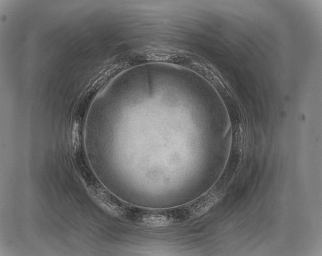 X0000085210598200703161221