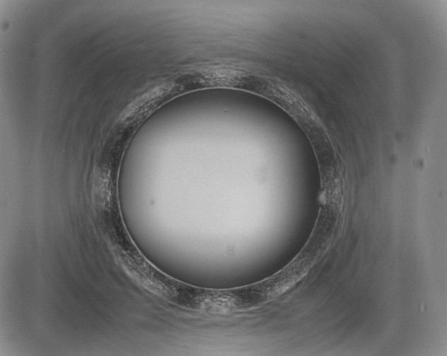 X0000085210599200703161221