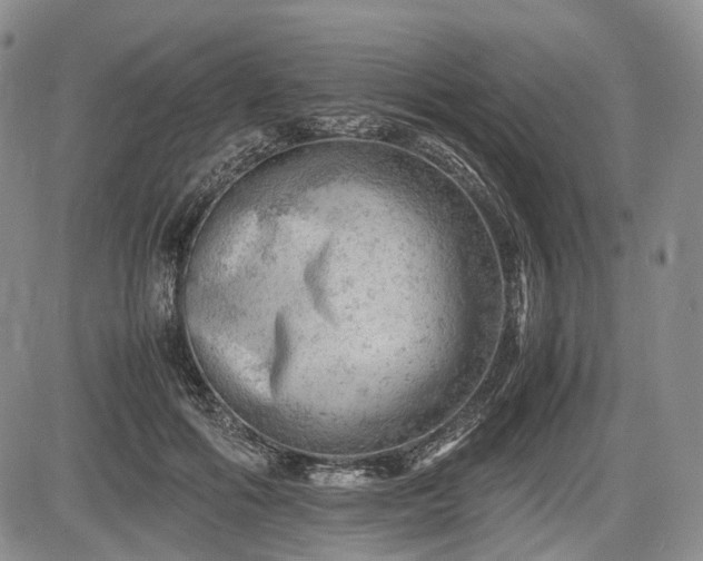 X0000085210602200703161221