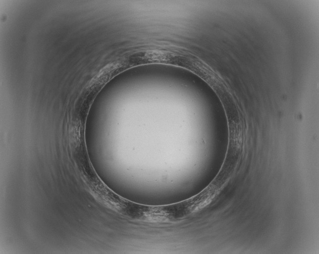 X0000085210603200703161221