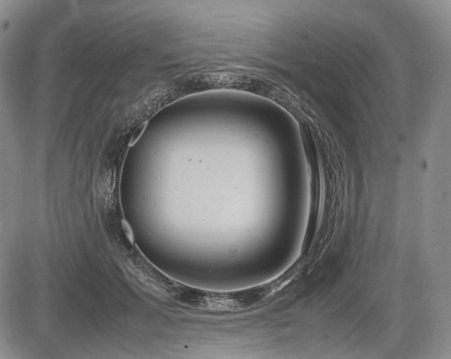 X0000085210605200703161221