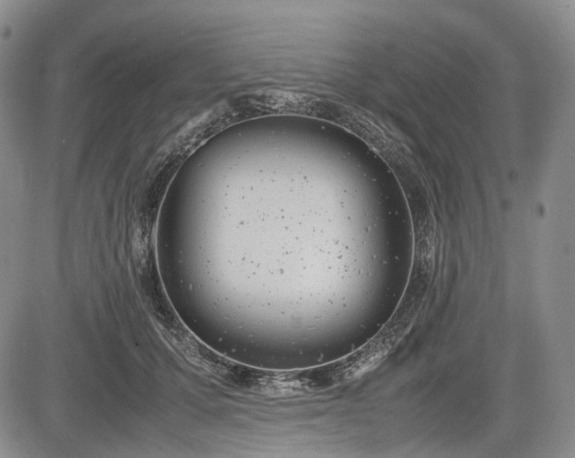 X0000085210607200703161221