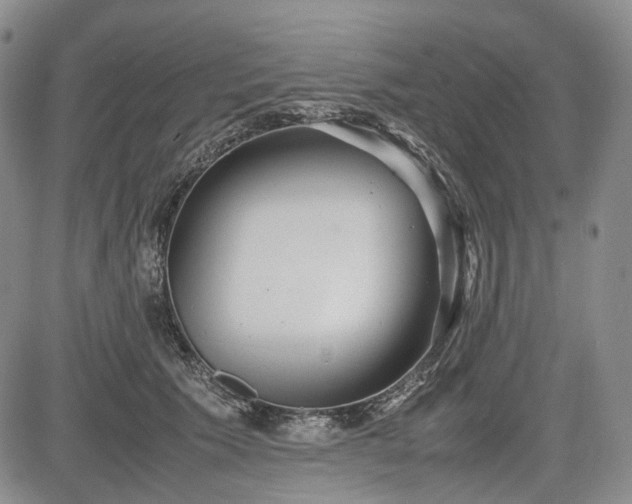 X0000085210609200703161221