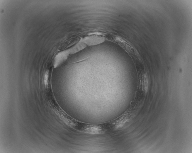 X0000085210610200703161221