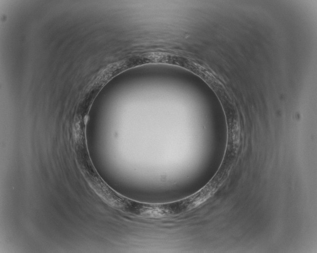 X0000085210611200703161221