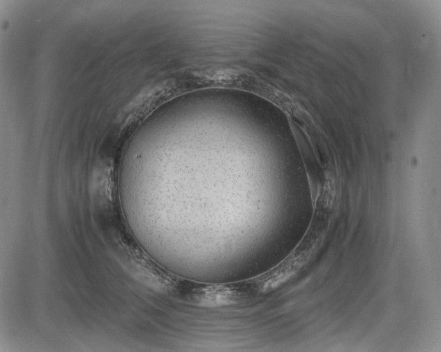 X0000085210612200703161221