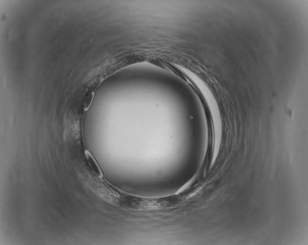 X0000085210613200703161221