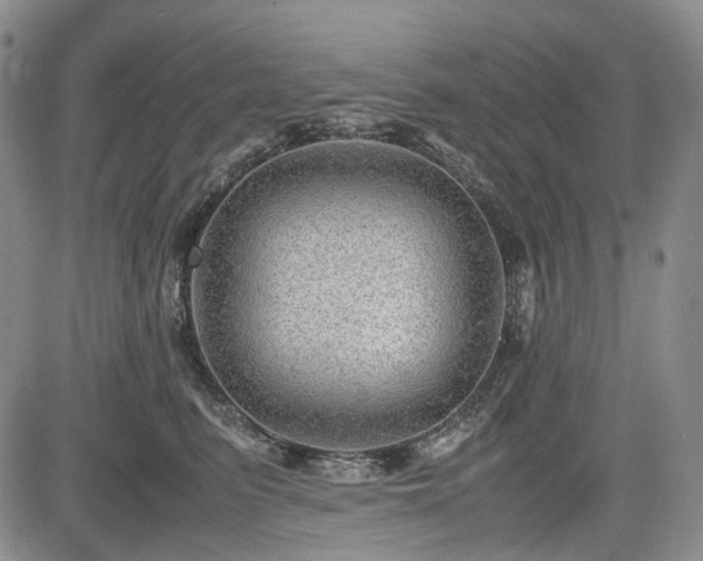 X0000085210615200703161221