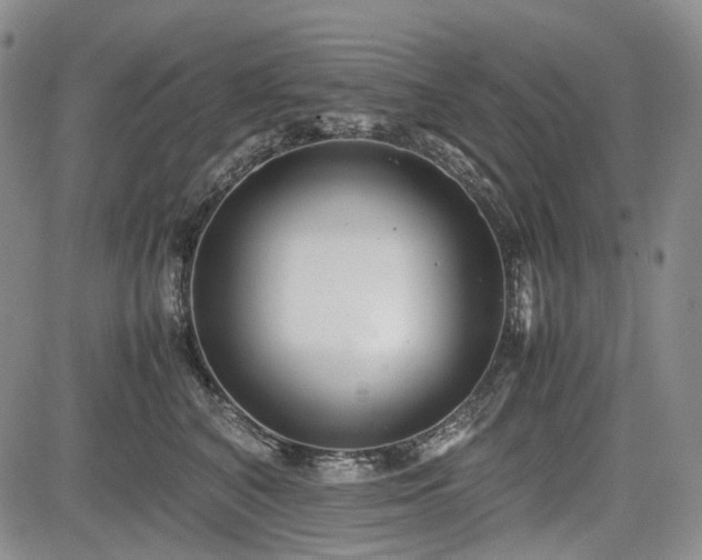 X0000085210616200703161221