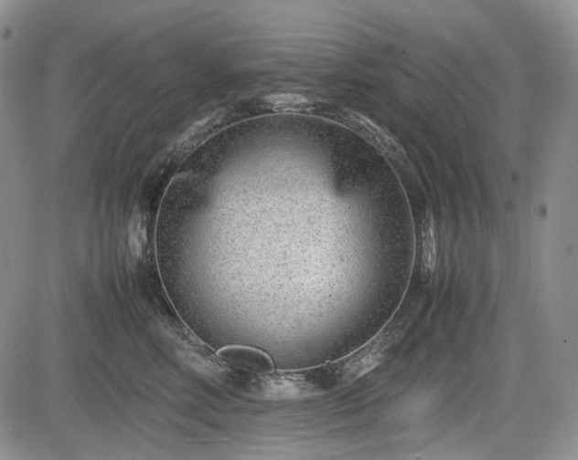 X0000085210618200703161221