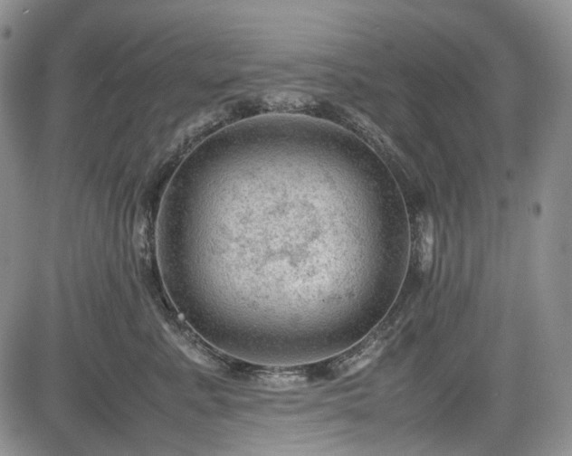 X0000085210619200703161221