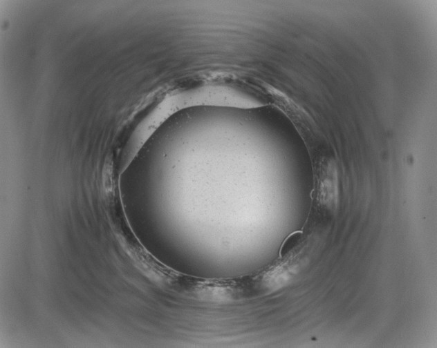 X0000085210620200703161221