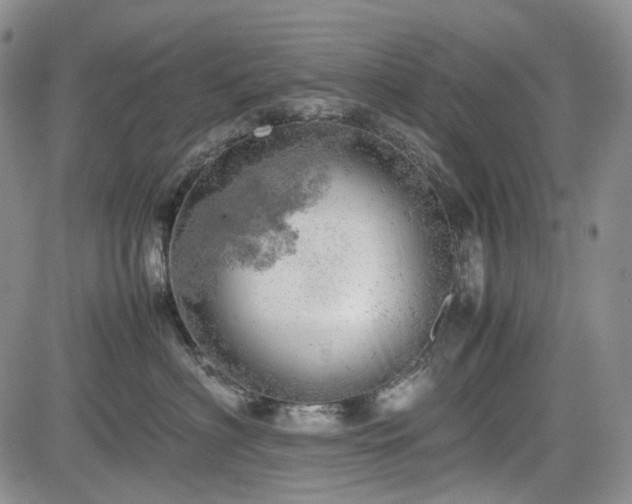 X0000085210622200703161221