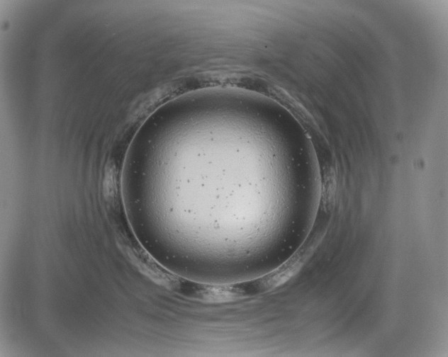 X0000085210623200703161220