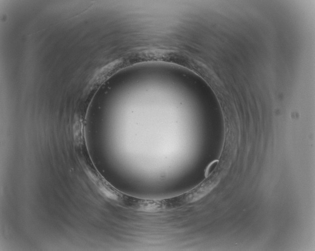 X0000085210624200703161220