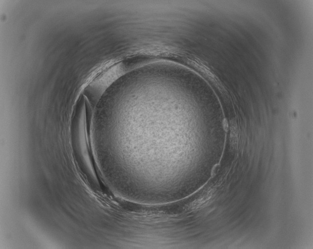 X0000085210626200703161220