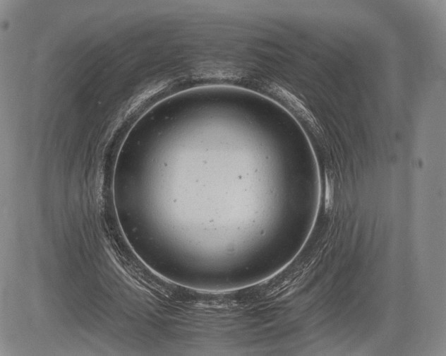 X0000085210627200703161220