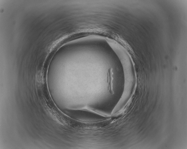 X0000085210628200703161220