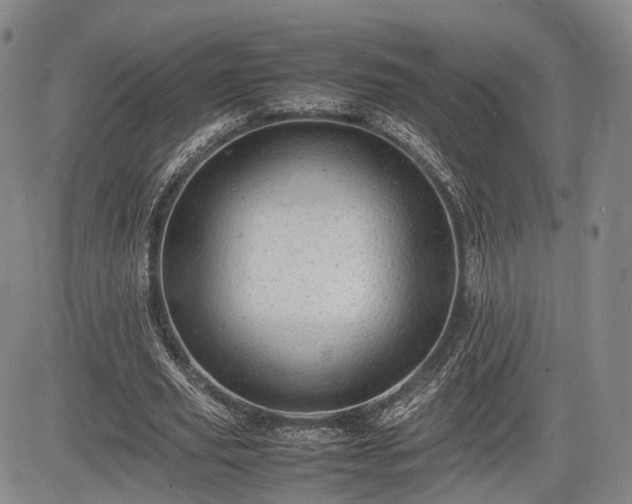 X0000085210629200703161220