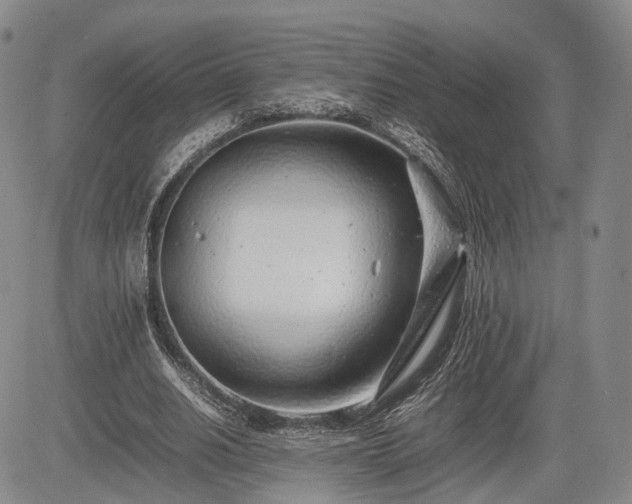 X0000085210630200703161220