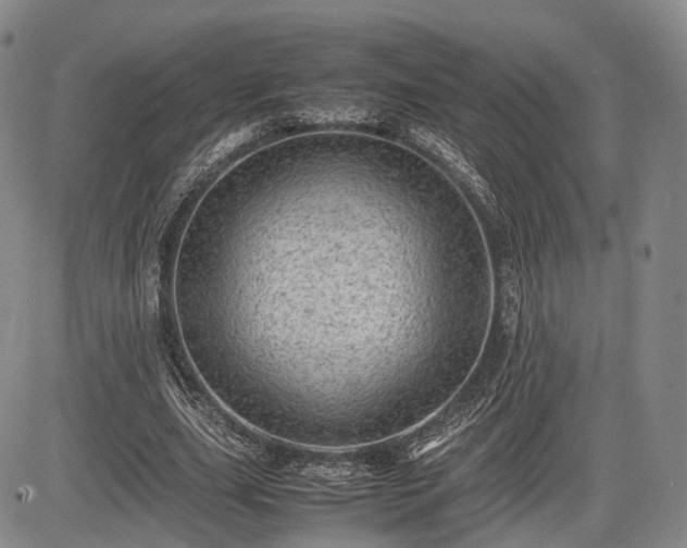 X0000085210631200703161220