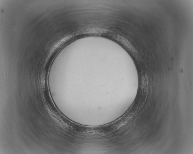 X0000085210632200703161220