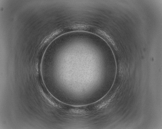 X0000085210633200703161220