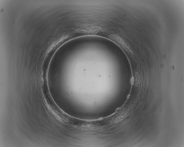 X0000085210634200703161220