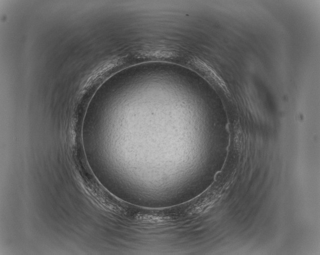 X0000085210635200703161220